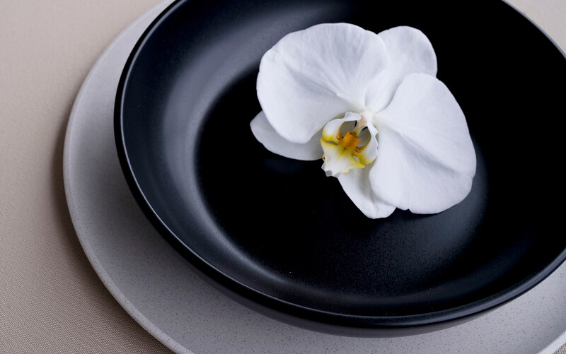 https://s45782.pcdn.co/wp-content/uploads/2025/05/AA_Espacio_Orchid_Color_wide-1005139-1.jpg