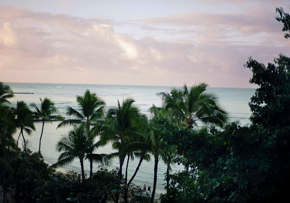 https://s45782.pcdn.co/wp-content/uploads/2025/05/exp-slider-palmtrees-ocean.jpg