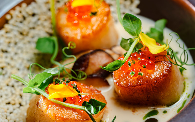 Scallops
